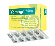 Yomogi 250 mg mit der medizinischen Hefe S. boulardii